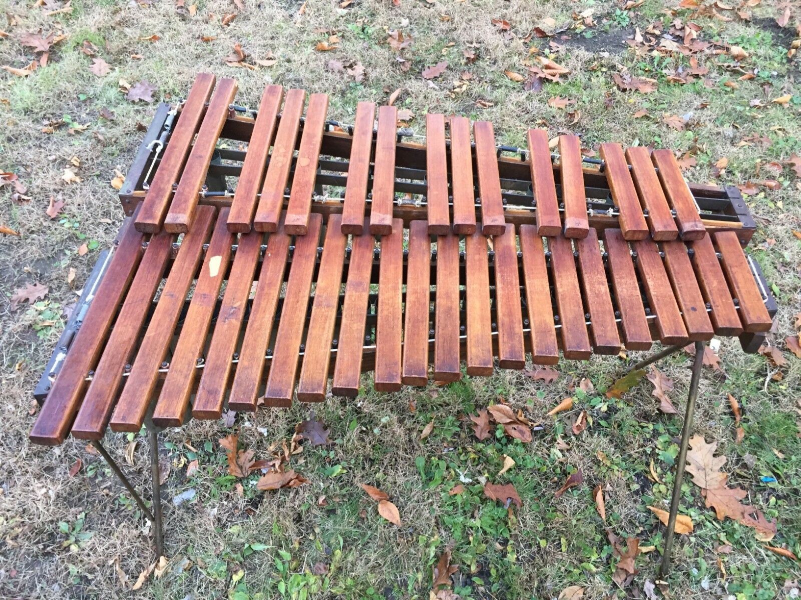 Xlophone : Un Top 5 des modèles les plus chers ! 